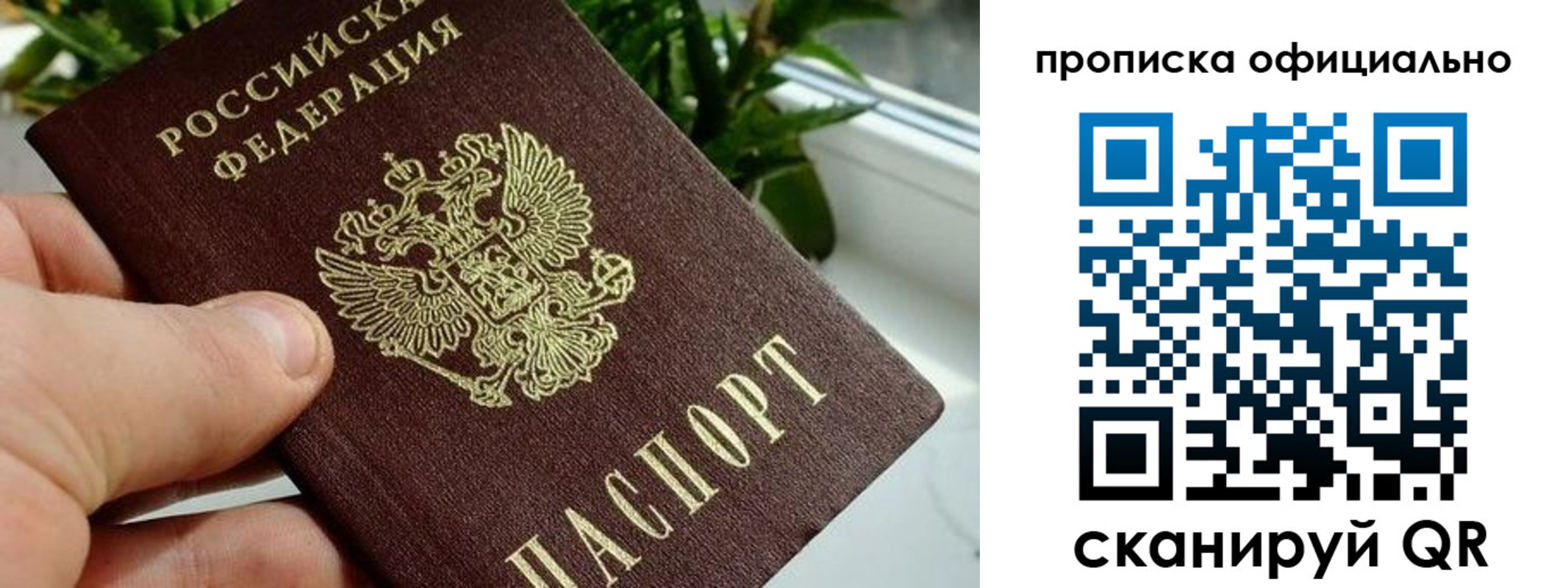 прописка поиск в Обнинске